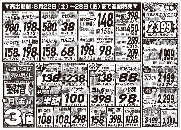 最新チラシnew-4