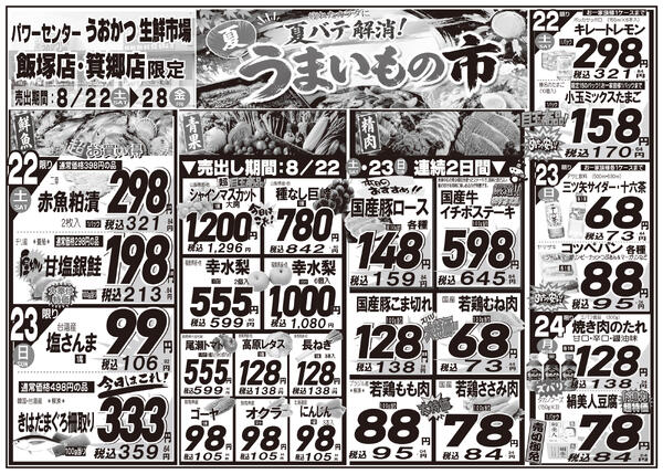 最新チラシnew-3