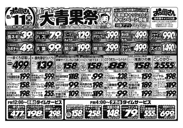 レギュラーチラシ-1