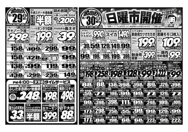 レギュラーチラシnew-2