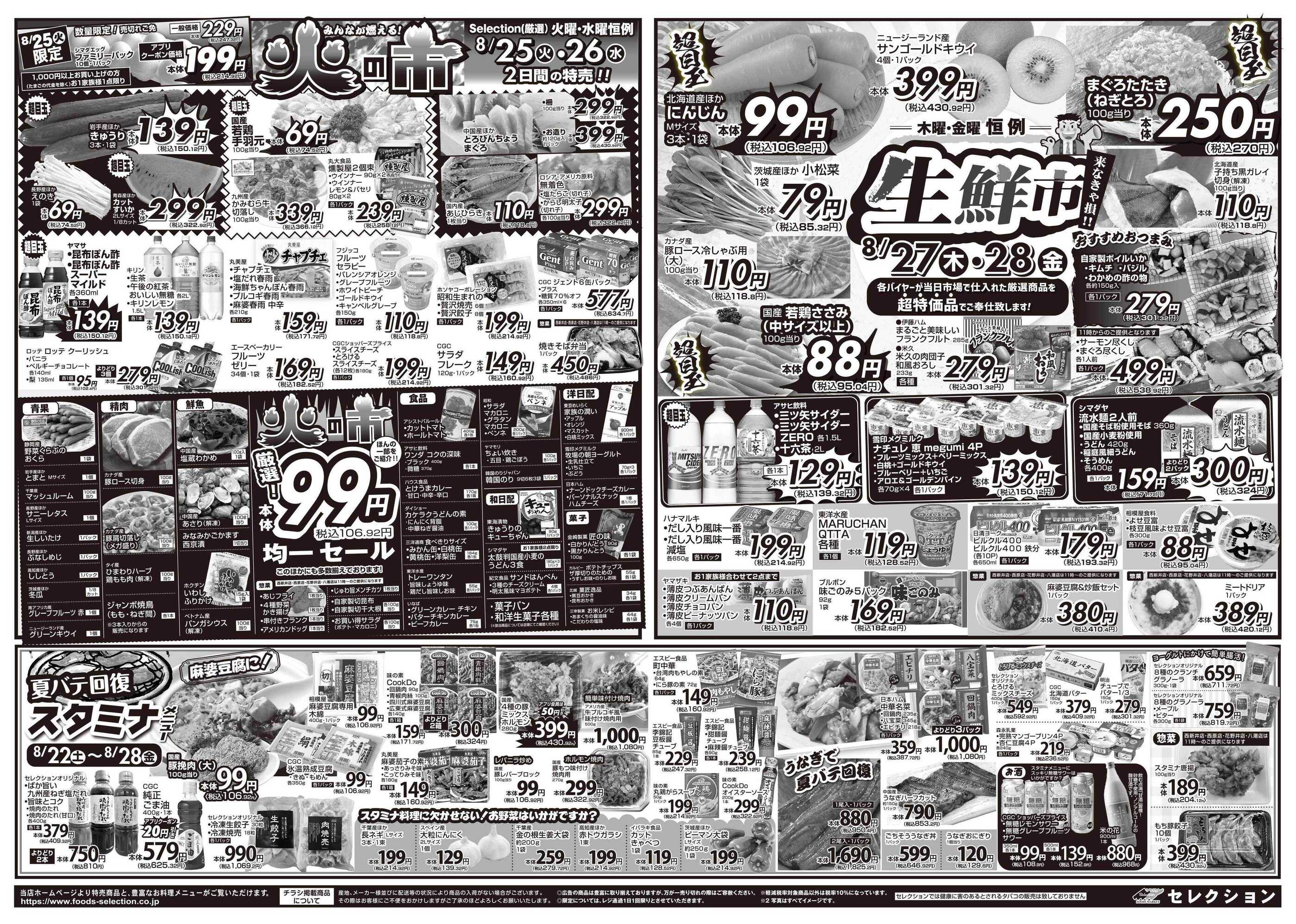 活動歴および当時の関連ビジュアル記録