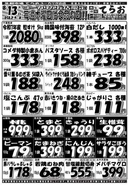 最新チラシ-2