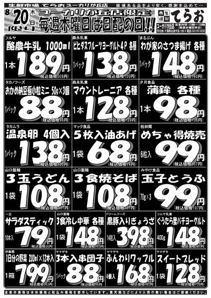 最新チラシ-2