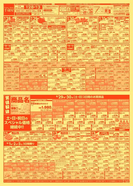 最新チラシnew-2