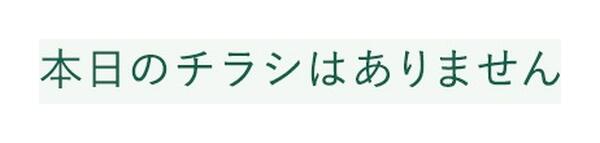 レギュラーチラシnew-1
