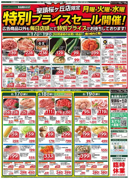 レギュラーチラシnew-1