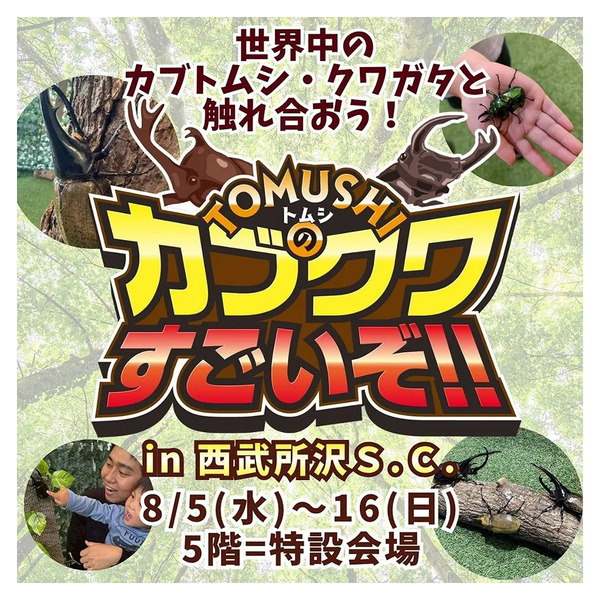 世界中のカブトムシ・クワガタと触れ合おう!(所沢)8月5日～8月16日-1