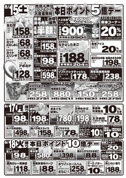 最新チラシ-2