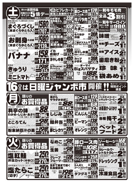最新チラシ-2