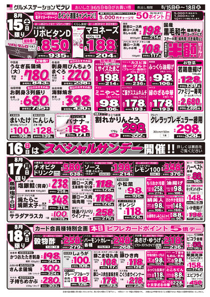 最新チラシ-2