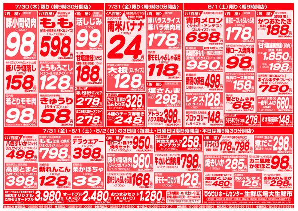 最新チラシnew-3