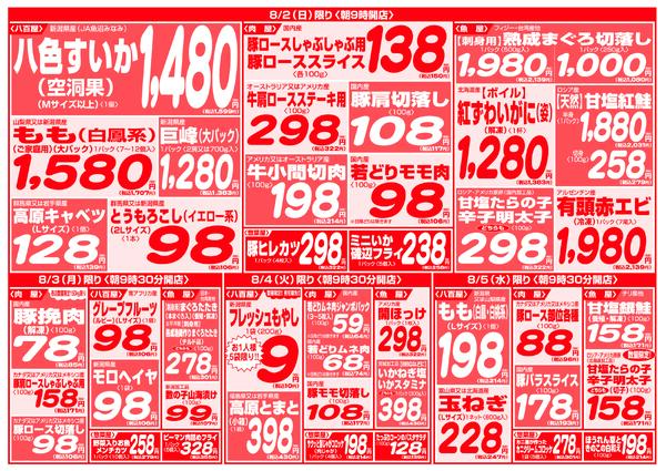 最新チラシnew-4