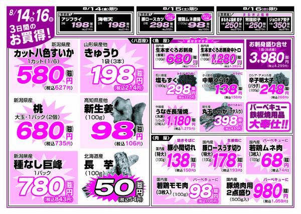 最新チラシ-13