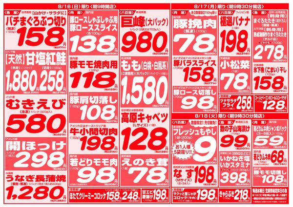 最新チラシnew-11
