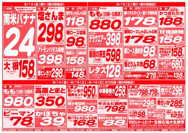 最新チラシnew-10