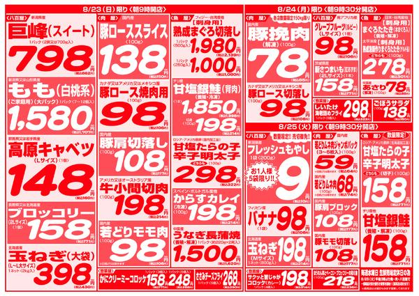 最新チラシ-4