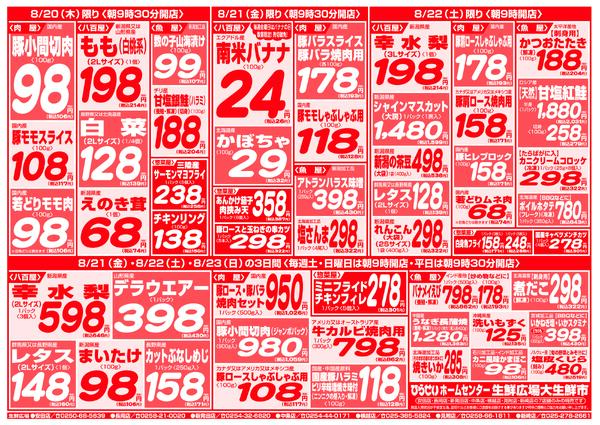 最新チラシ-3