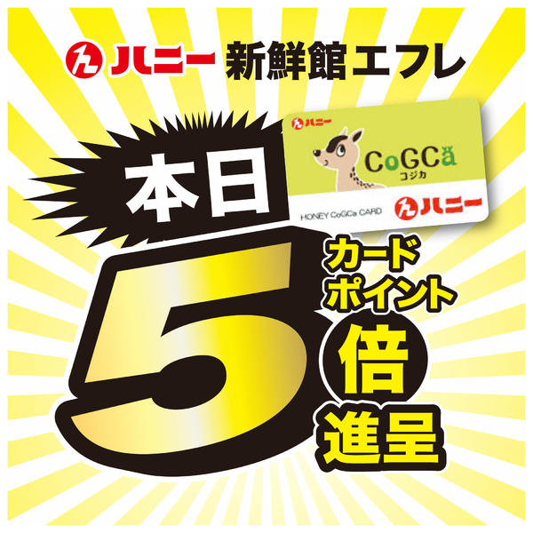 2026年8月10日〜13日まで４日間連続５倍進呈！-1