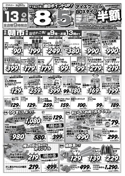 2026年8月13日限りnew-1