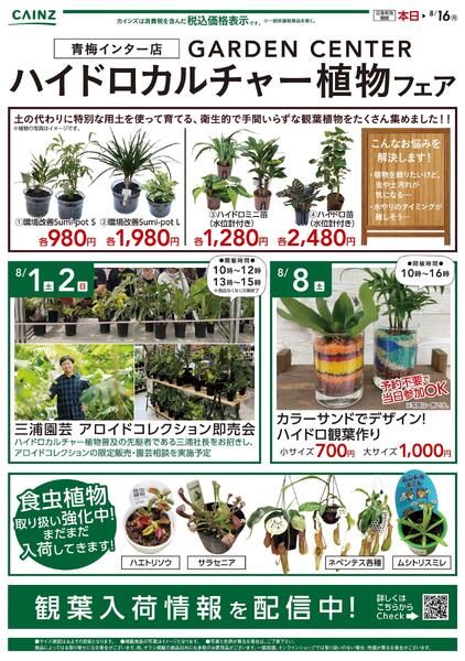 青梅インター店 GARDEN CENTER ハイドロカルチャー植物フェア〇-1