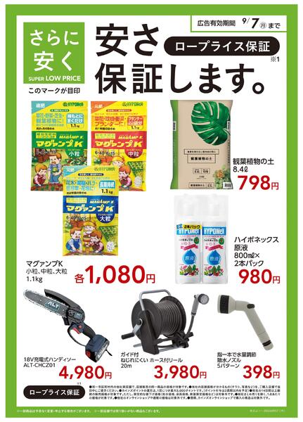 スーパーロープライス　静岡企画（園芸）〇-1