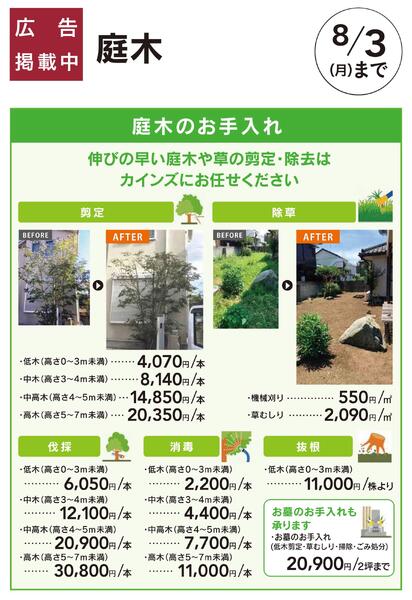 エクステリアおすすめ工事：庭木のお手入れ-1