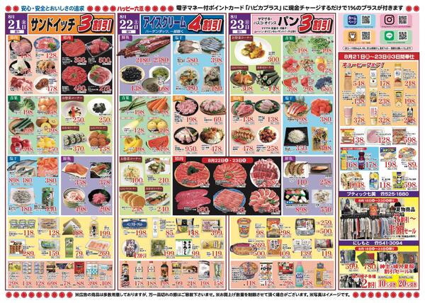 最新チラシnew-2