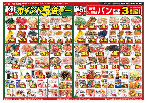 最新チラシ-2