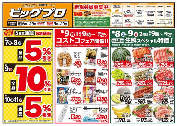 ビッグプロ-1