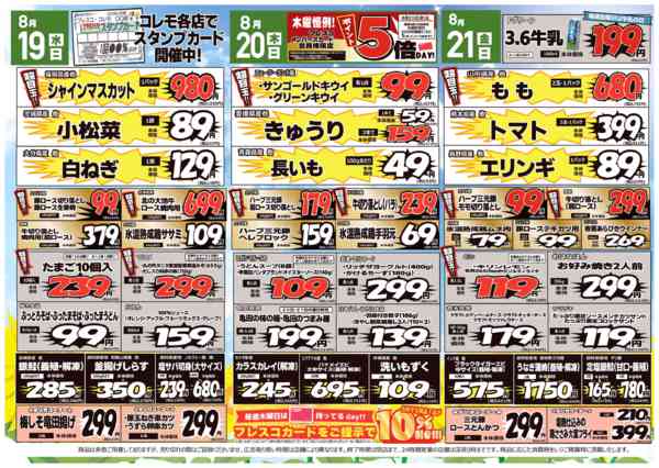 2026年8月18日〜21日までコレモ合同💚夏の全力投球⚾セール🌞new-2