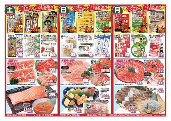 レギュラーチラシnew-2
