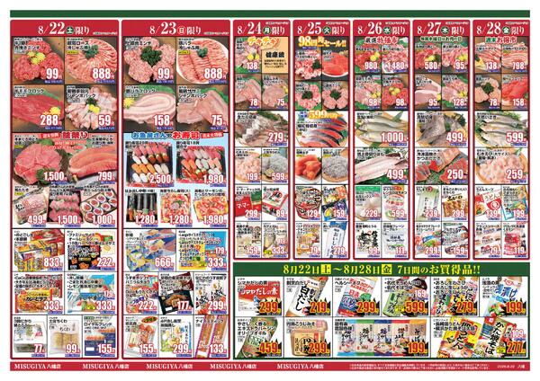 レギュラーチラシ-3