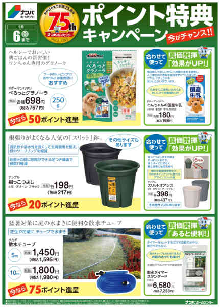 2026年6月1日〜9月6日までポイント特典キャンペーン3-1