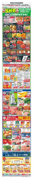 WEB限定 8/11（火）～生鮮市-1