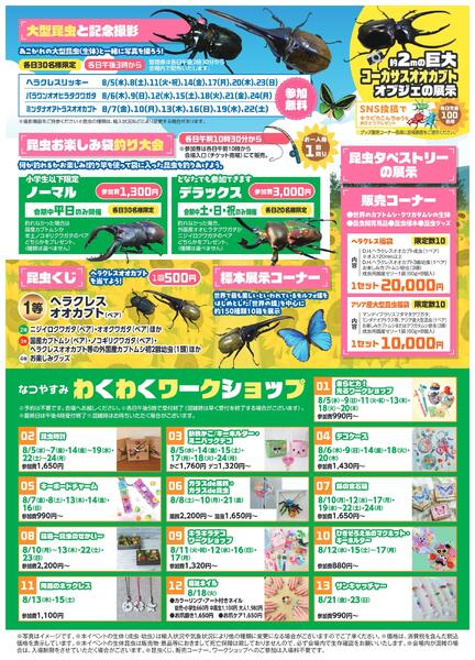 ふれあい！世界の昆虫展【岡山天満屋】-2