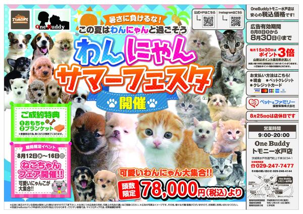 わんにゃんサマーフェスタ（トモニーM）-1