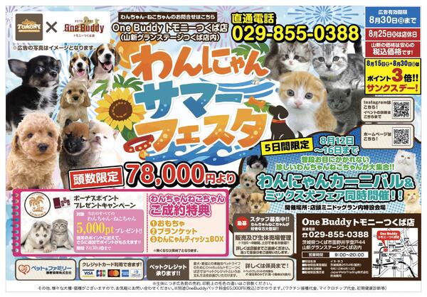 わんニャンサマーフェスタ（トモニー）-1