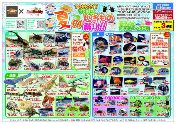 わんニャンサマーフェスタ（トモニー）-2