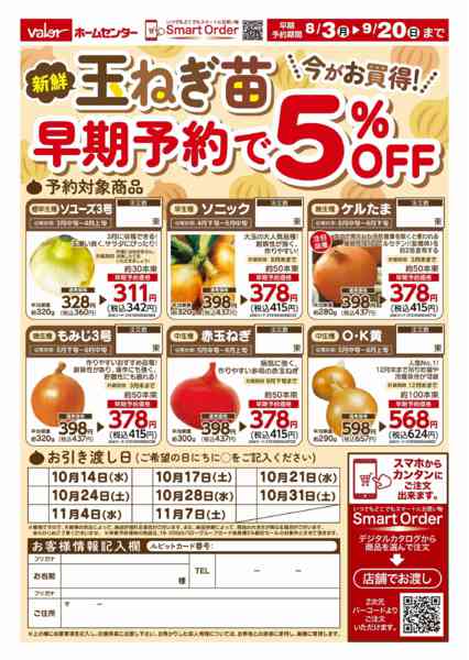 2026年8月3日〜9月20日まで玉ねぎ苗早期予約new-1