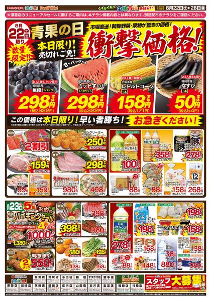 最新チラシ-1