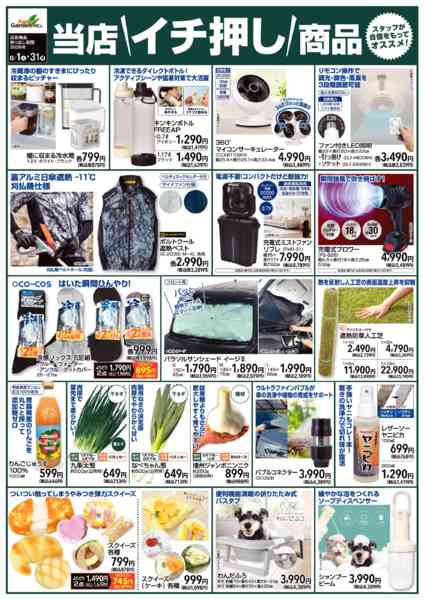 2026年8月1日〜31日まで当店イチ押し商品-1