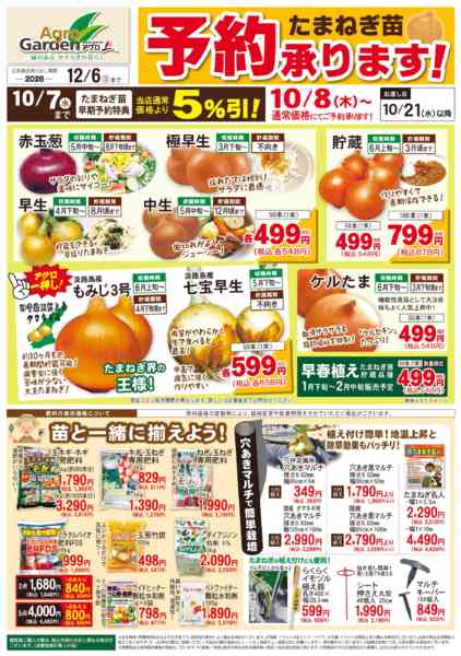 2026年8月10日〜12月6日までたまねぎ苗予約販売-1