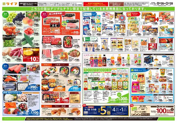 8/26号　日替わりセール！new-2