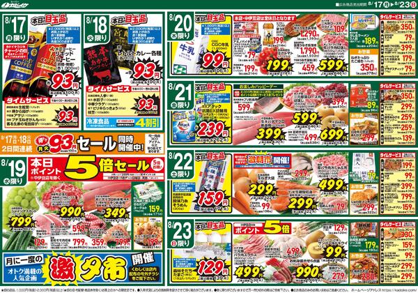 レギュラーチラシnew-2