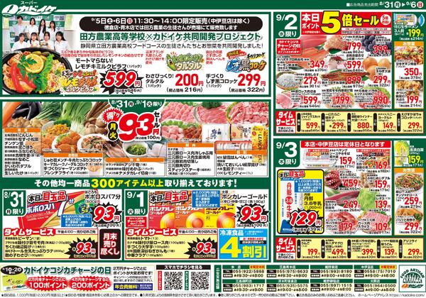 レギュラーチラシnew-1