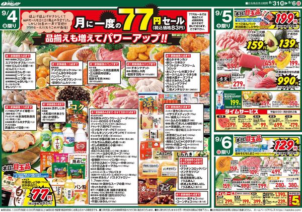レギュラーチラシnew-2