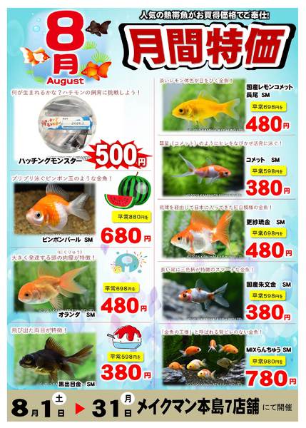 2026年8月1日〜31日まで8月熱帯魚月間-1