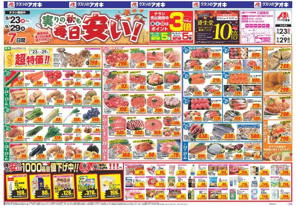 最新チラシnew-1