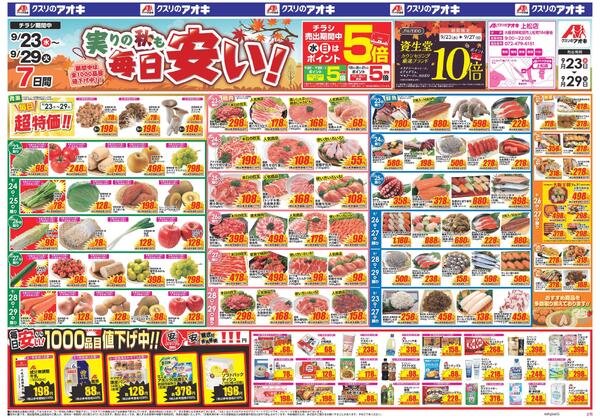 最新チラシnew-1