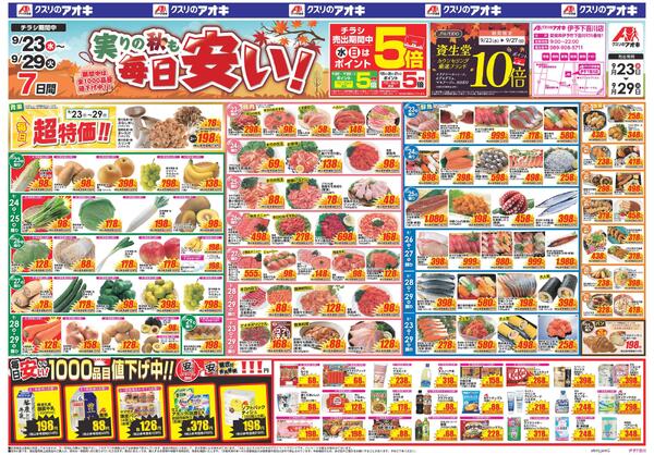 最新チラシnew-1